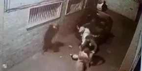 تصاویر / بازسازی صحنه زورگیری در اتوبان صدر