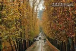 هشدار | ناپایداری جوی در سواحل شمالی و جنوبی ایران