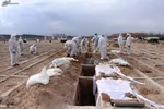 به مرز عراق نروید!
