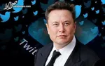 سلبریتی‌ها نظری در مورد پاریس ندارند؟