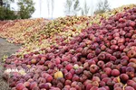 وقتی افغانستان و ترکیه 