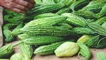 کرونا باعث بروز دیابت در افراد مستعد می‌شود