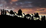 عراق آماده برپایی مراسم باشکوه پیاده‌روی اربعین شد+ عکس و فیلم