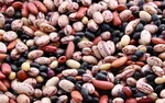 تغییر عجیب قیمت حبوبات در دی ۱۴۰۴