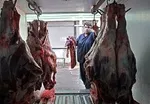 گردن یکی از ۴ وزیر کشاورزی بعد از انقلاب را بزنید