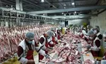 فروش مرغ بیش از ۸۲۰۰ تومان تخلف است