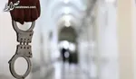 سوءتفاهم با رقص یک گربه/با گیشه ۵۰ میلیارد ضرر می‌کنیم!
