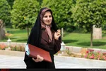 قوه قضائیه به واگذاری شرکت‌های دولتی ورود کند