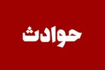 ‌جزئیات تازه از قتل دختر ایرانی در آلمان