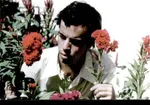 سنگ مزار شهید 