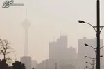 با این موادغذایی از آسیب‌های آلودگی هوا در امان بمانید