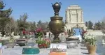 مصرف تیلاپیا موجب تشدید بیماری‌های قلبی می‌شود