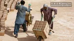 افزایش آمار طلاق‌های صوری به معضلی برای تامین اجتماعی تبدیل شده است