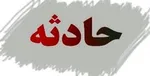 سلفی مرگبار پسر نوجوان با خرس‌ها در باغ وحش! +عکس