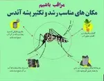 ثبت ۱۵ مورد قطعی ابتلا به تب دنگی در بندرعباس