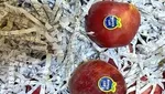 هتک حرمت به قرآن کریم در فوتبال انگلیس
