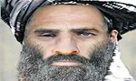 «ابوعمر چچنی» در حلب کشته شد