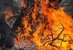 برف و باران در راه گیلان/ دمای هوا 18 درجه کاهش می‌یابد