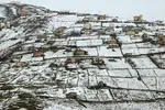 هوای تهران سالم است