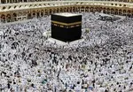 اختصاص ۵۵۰ دستگاه اتوبوس برای انتقال زائران کربلا
