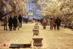 بارش برف در مهاباد رکورد زد