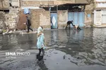واکنش وزارت علوم به مرگ دانشجویان