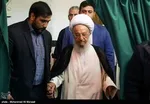 آیت‌الله مکارم: تخریب جنگل یک گناه بزرگ است‌