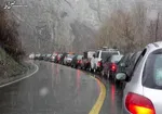 متخلفین پلاک زیر ذره بین پلیس/ به راحتى شناسایى مى شوید!