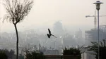 ۱۰۰ هزار سواری فرسوده منبع بزرگ آلودگی هوای تهران