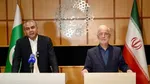 دیدار وزیر کشور با همتای پاکستانی در تهران