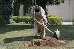 رئیسی آشغال‌ها را دور می‌اندازد!
