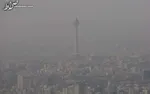بررسی خواص بی‌نظیر گلاب برای بدن