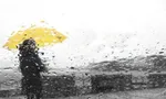 آسمان این استان‌ها بارانی می‌شود