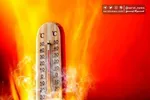 بیماری‌های پوستی شایع در فصل گرما