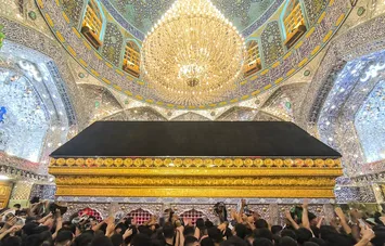 تصاویر| حرم امیرالمومنین(ع) در آستانه اربعین حسینی