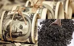 فرمان حمله جریان رادیکال به اژه‌ای / سایه نشین‌ها انتقام چای دبش را از رئیس قوه می‌گیرند؟