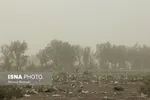 بی‌سابقه بودن سرعت وزش باد‌های زابل در ۳۳ سال اخیر