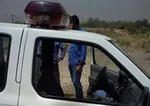 نیشکر، سپری جدید برای محافظت از دندان‌ها