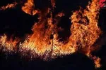 حریق در مجتمع تجاری ارغوان اندیشه ۸ کشته و ۴۰مصدوم بر جای گذاشت