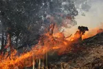 عکس | پسروی شدید آب دریا در مازندران