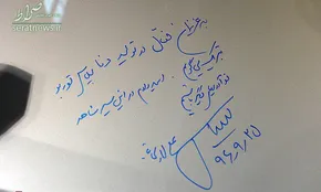 عکس/ حمله طوطی‌های معتاد به مزارع خشخاش!