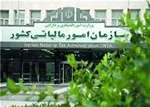 مهلت 30 روزه گمرک برای ثبت و اظهار گوشی‌های تلفن همراه مسافری