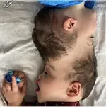 فرزندآوری با روش‌هایی که همچنان خریدار دارند