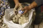 عروسی که ۱۵ دقیقه پس از مراسمش جان داد
