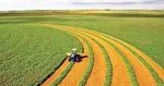 سنگینی گرانی روی شانه‌های تخم مرغ / قیمت‌های نجومی در سبد غذایی مردم