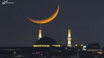 آیا فطریه به خویشاوندان مستحق تعلق می‌گیرد؟