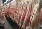 آغاز فروش اینترنتی گوشت تنظیم بازاری از پنج شنبه/ هر کد پستی ۳ کیلو