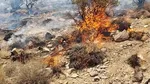 ۴کشته در پی واژگونی پژو ۴۰۵ در ورودی مشهد