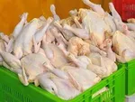 فروش گوشت‌های تنظیم بازاری به رستوران‌ها و کبابی‌ها!