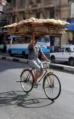 عکس/ نزاع دو ببر سیبریایی